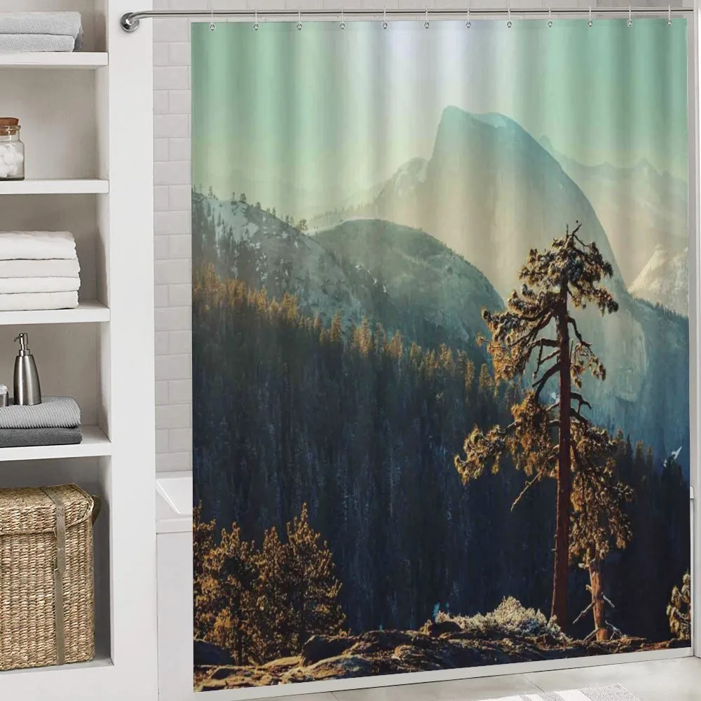 Misty Morning Yosemite — Detail 4