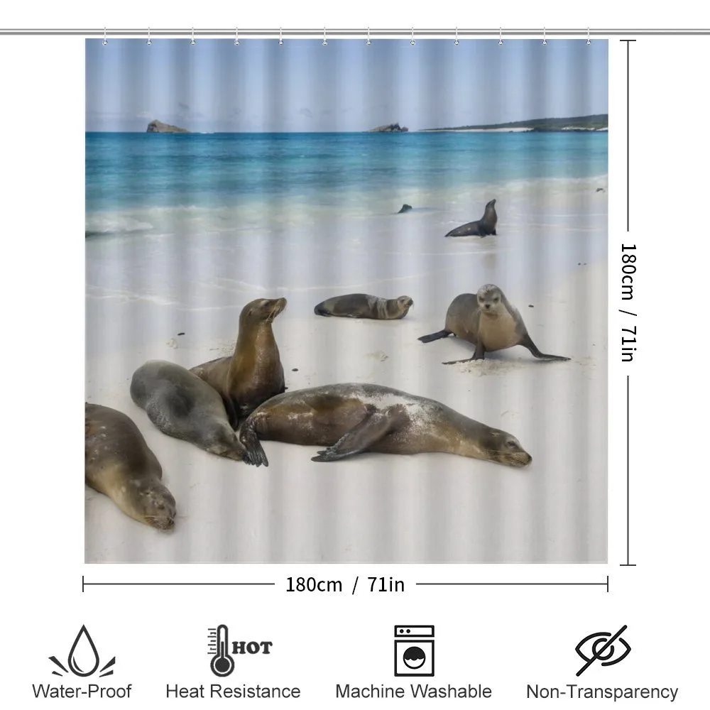 Galapagos Island Sea Lions — Detail 2