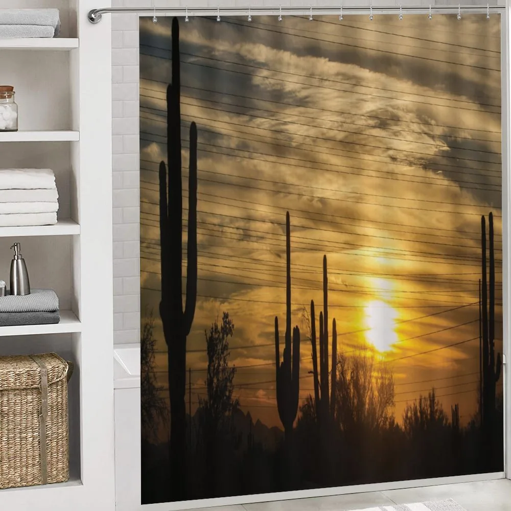 Horizon Skyline and Cactus — Detail 4