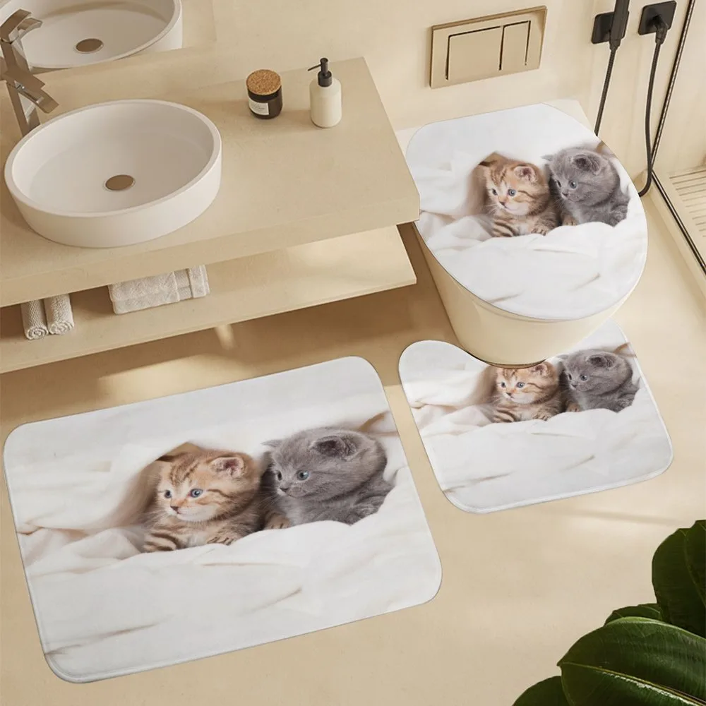 Scottish Fold Kittens — Detail 5