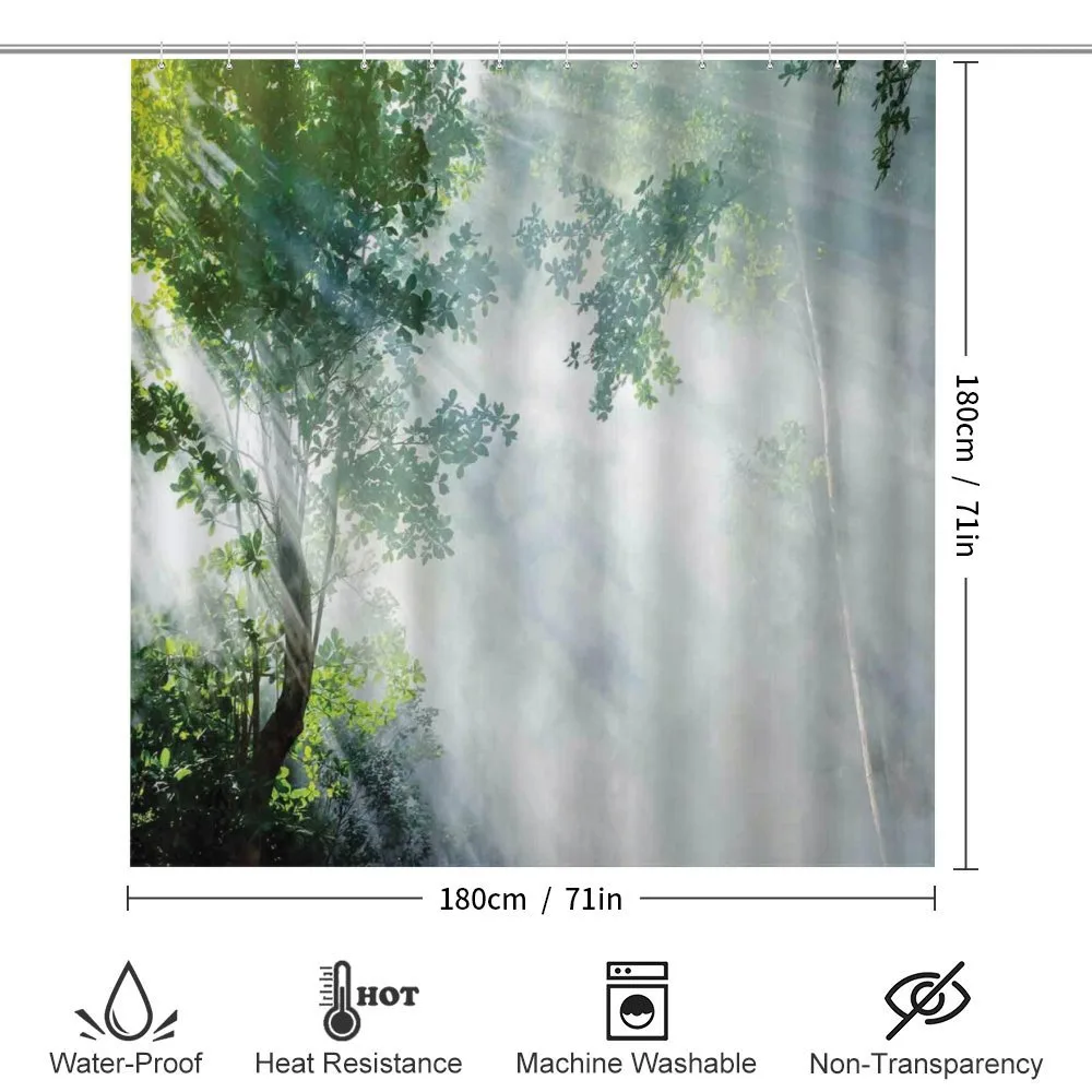 Sunbeams Shadows Idyllic — Detail 2