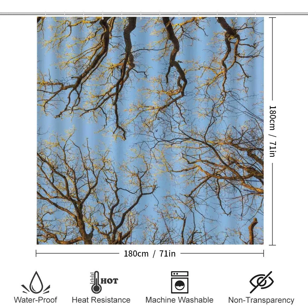 Vibrant Sky with Trees — Detail 2