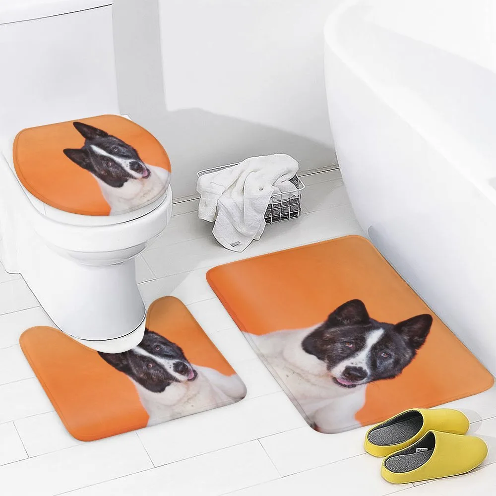 Akita on Orange — Detail 3