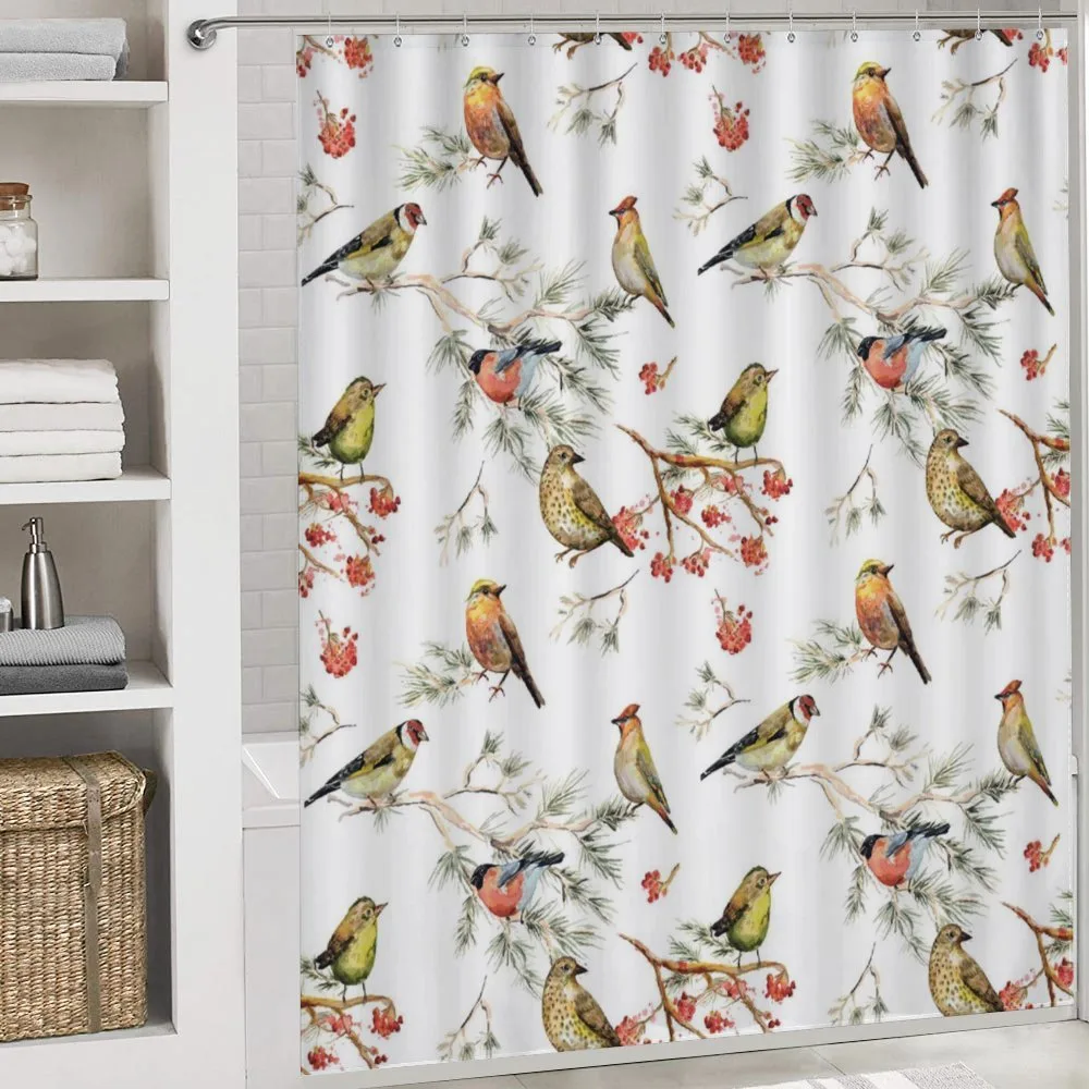 Colorful Forest Birds — Detail 4