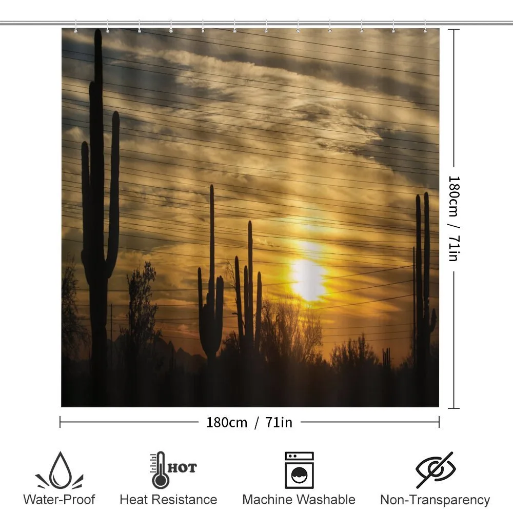 Horizon Skyline and Cactus — Detail 2