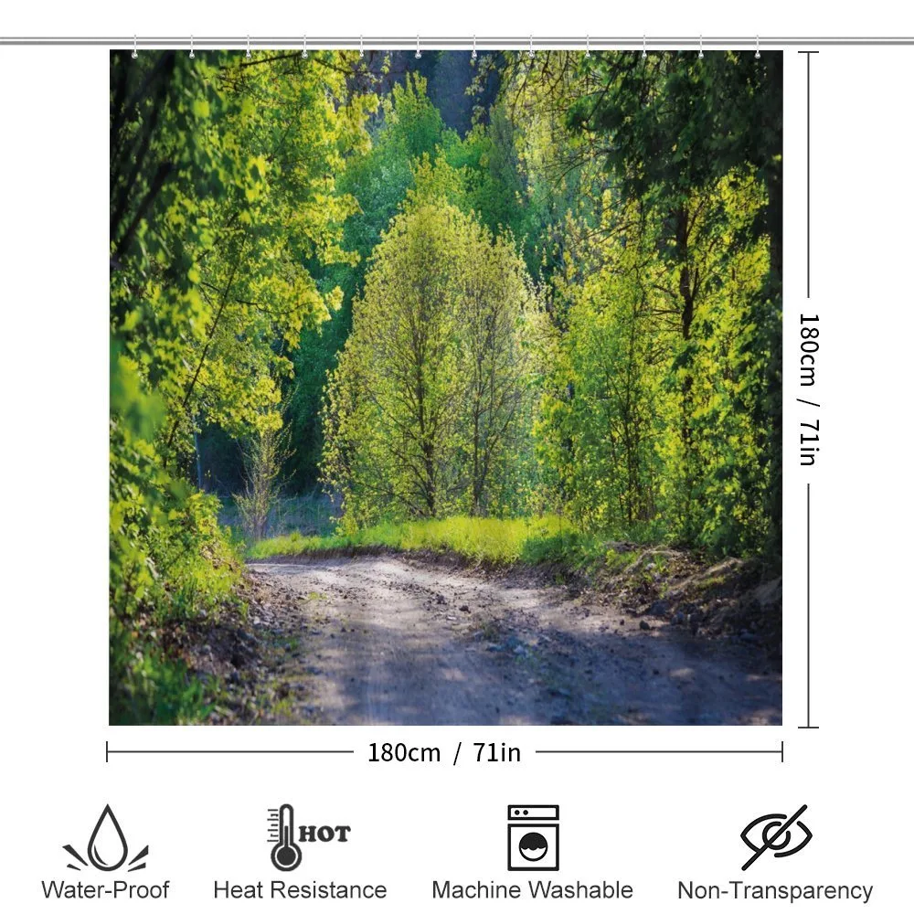 Path in Forest by Lake — Detail 2