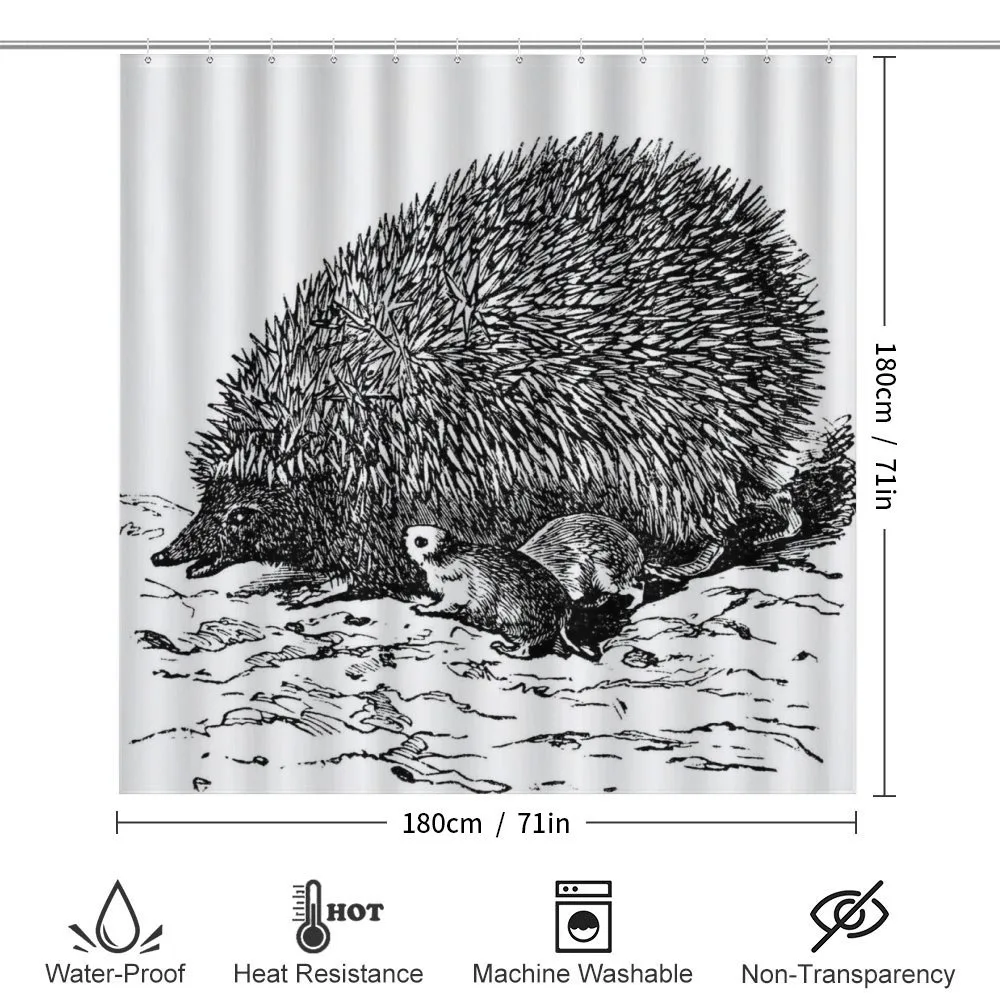 European Hedgehog — Detail 2