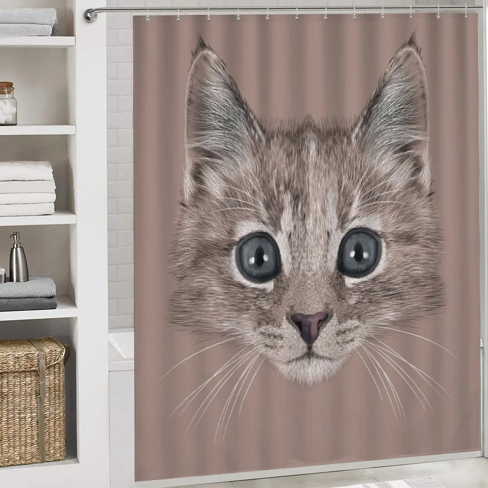 Domestic Cat Face — Detail 4