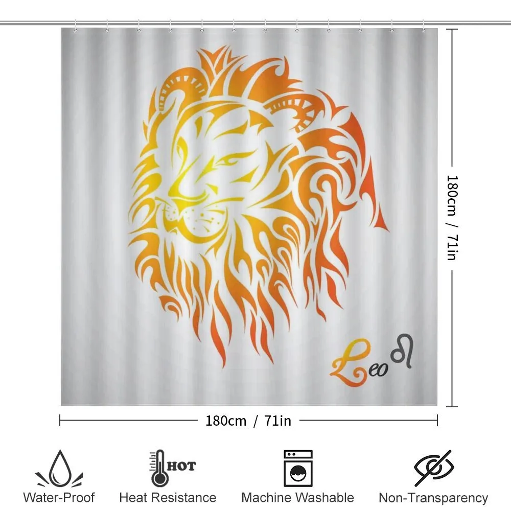 Leo Horoscope Sign — Detail 2