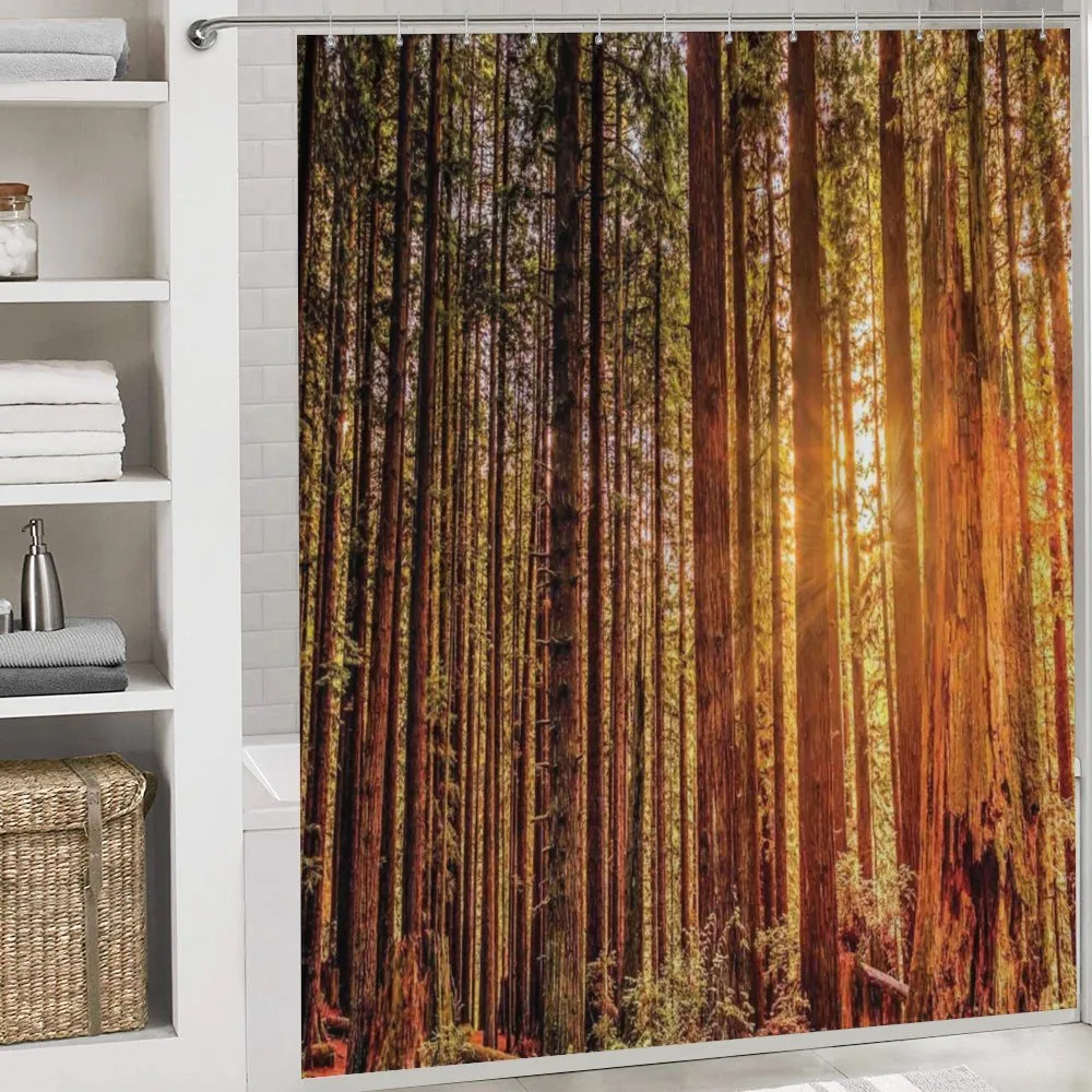 Redwoods Forestry — Detail 4