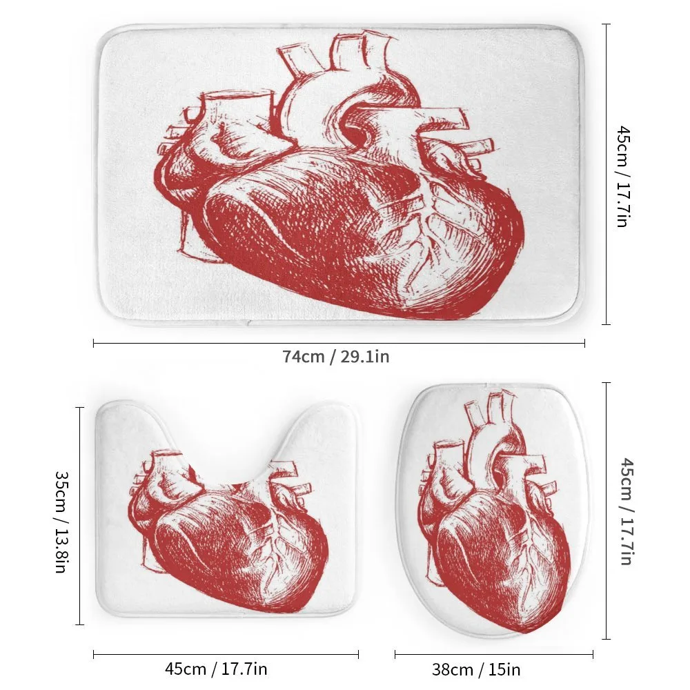 Sketch of Cardio Organ — Detail 1