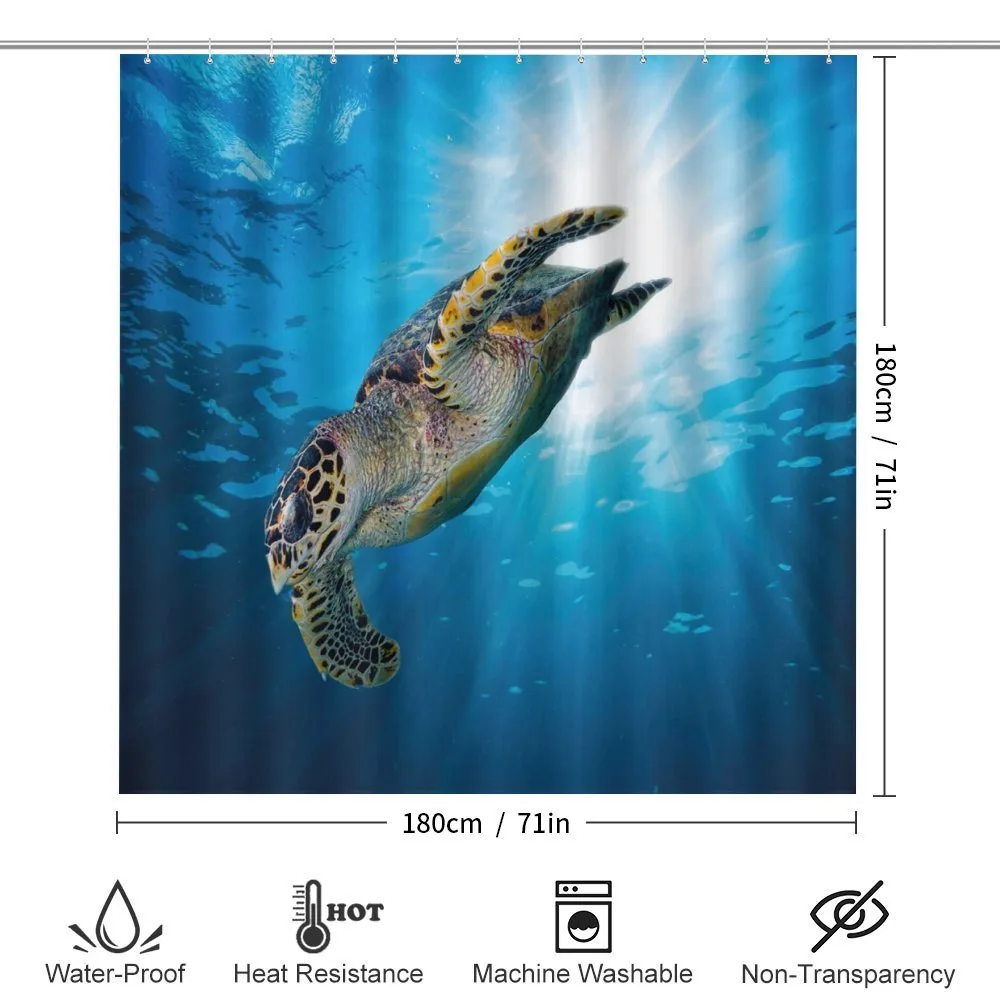 Sea Turtle Diving — Detail 2