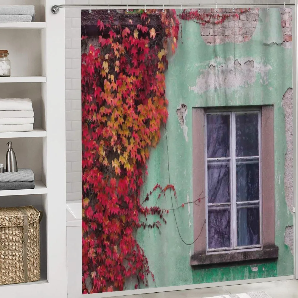 Fall Ivy on Old House — Detail 4