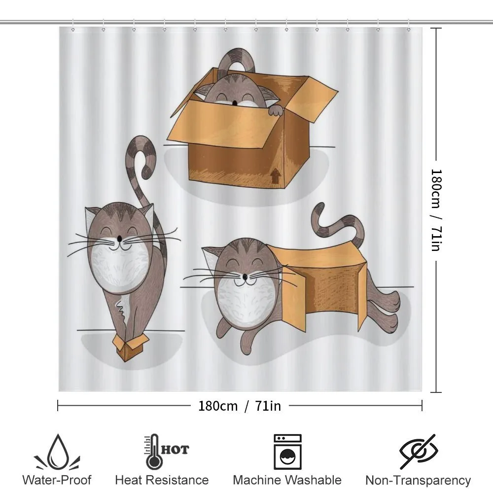 Kitten Cat in the Box — Detail 2