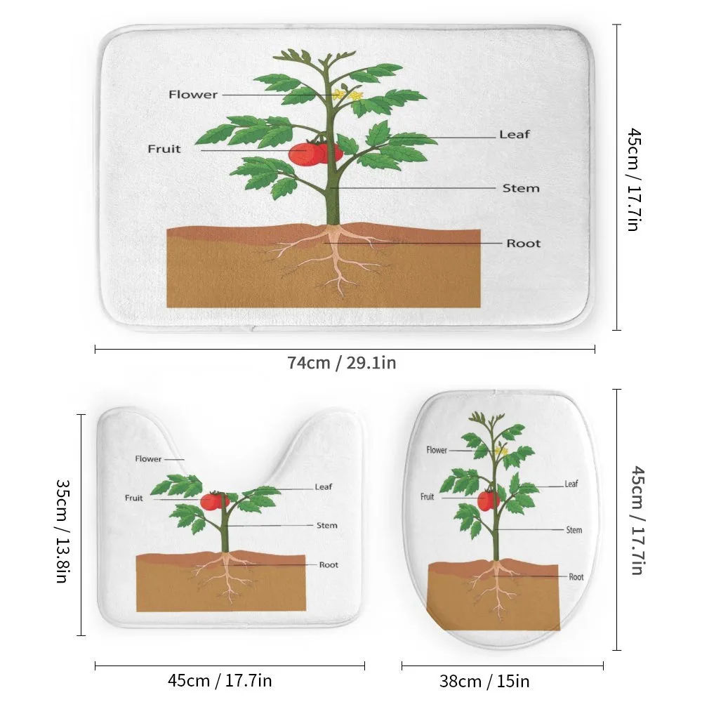 Parts of a Tomato Plant — Detail 1