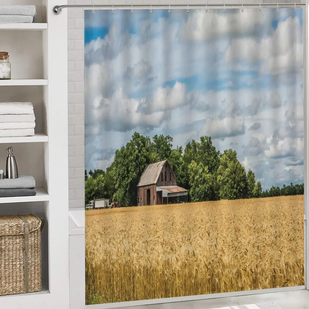 Cottage in a Wheat Field — Detail 4