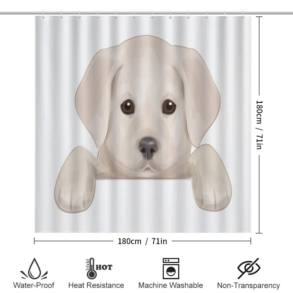 Puppy Hiding Paws — Detail 2