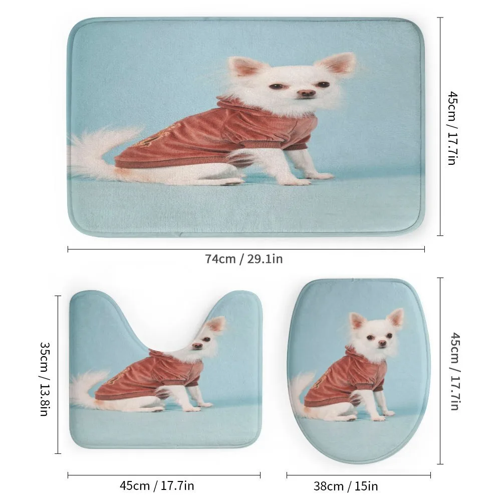 Puppy with Clothes — Detail 1