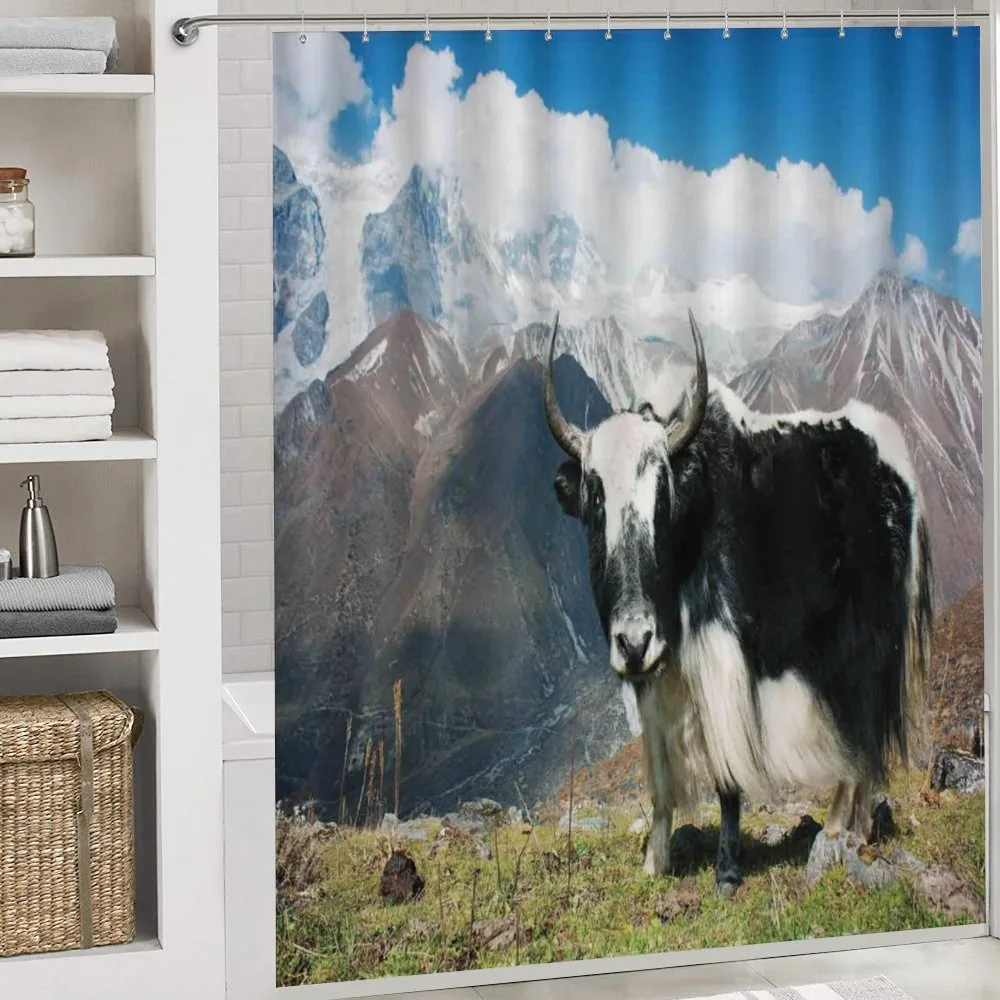 Bull Rural Mountains — Detail 4