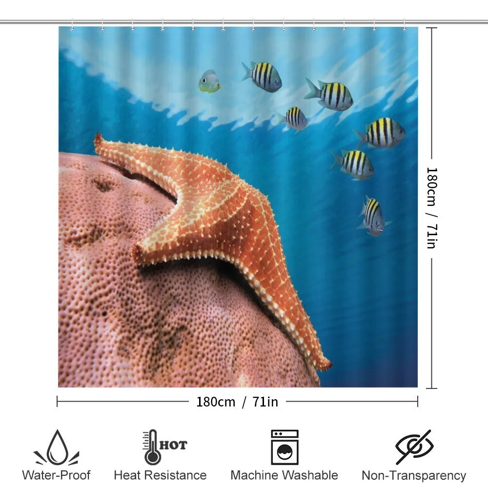 Coral Fishes Sea — Detail 2