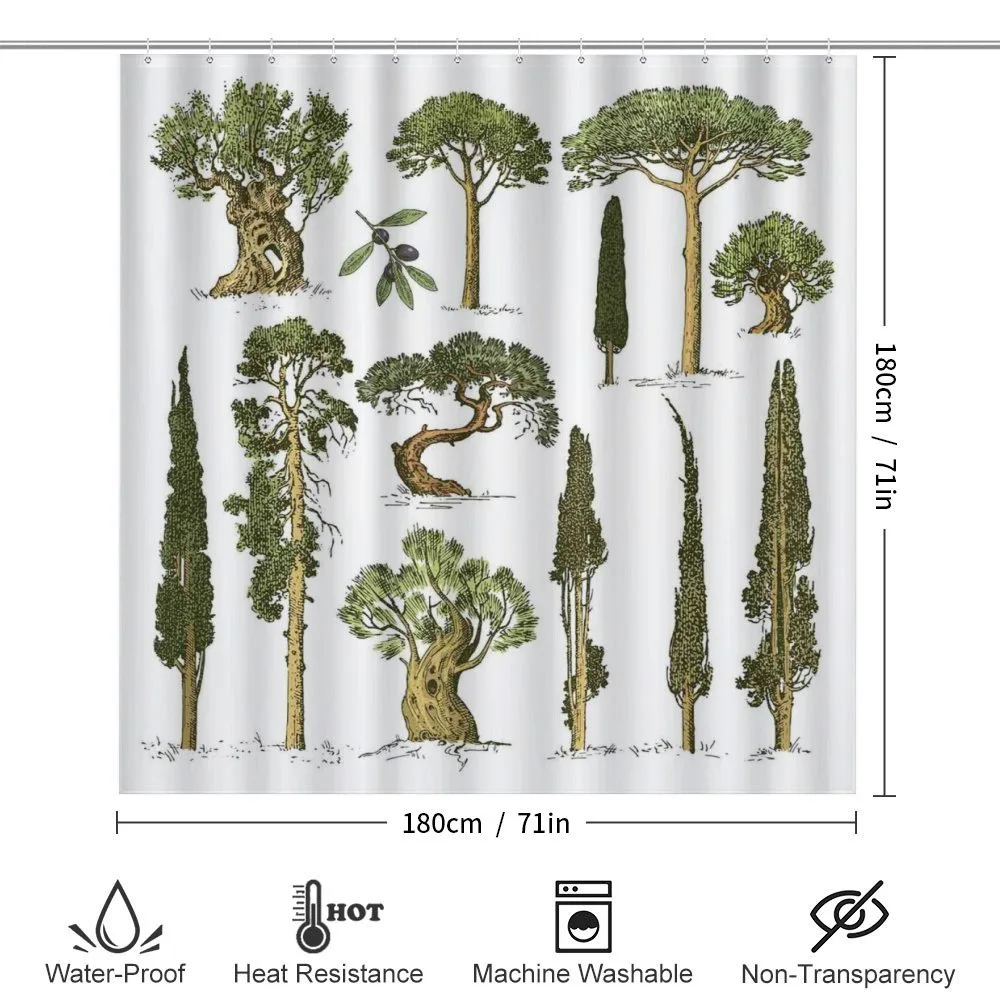 Forest Growth Ecology — Detail 2
