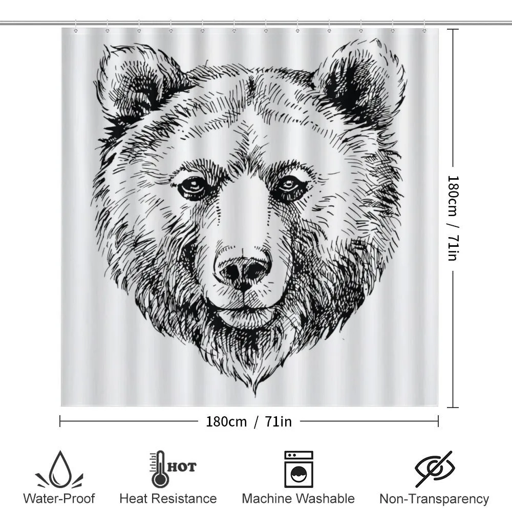 Grizzly Bear Ink Sketch — Detail 2