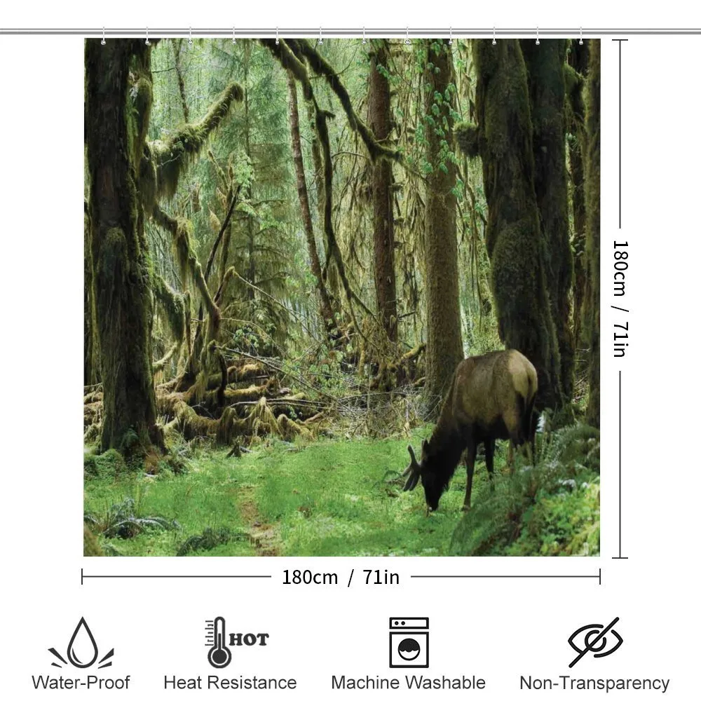 Roosevelt Elk in Park — Detail 2