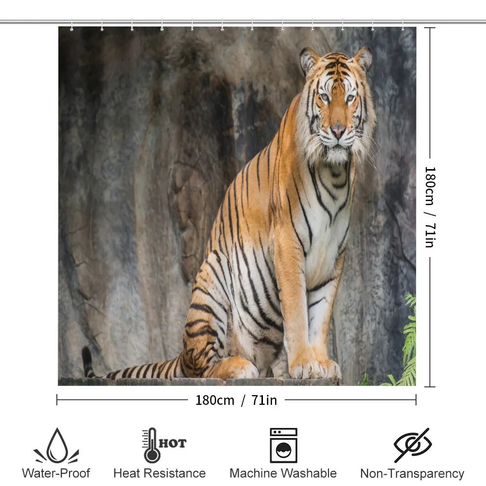 Bengal Tiger Cat Predator — Detail 2