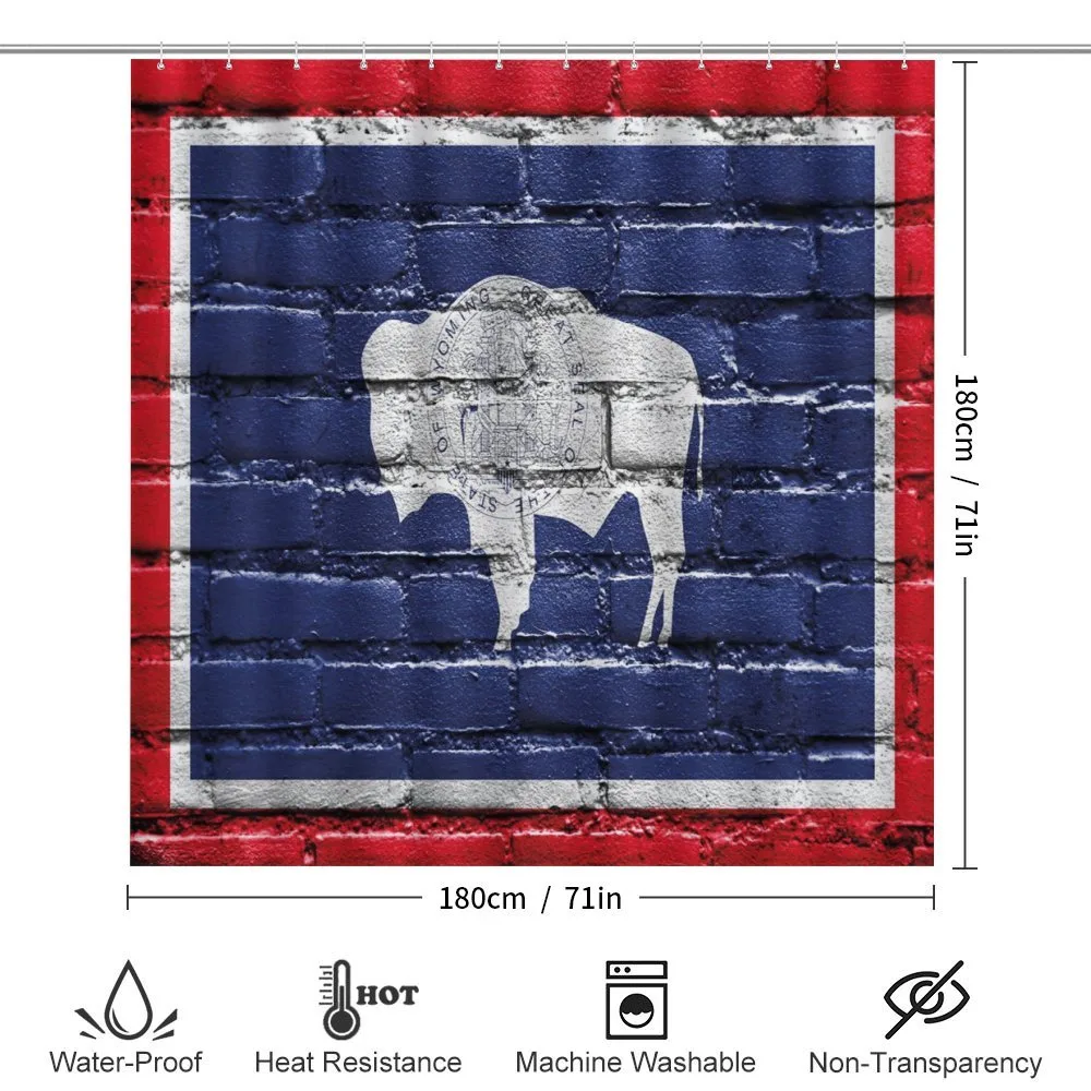 State Flag Paint on Bricks — Detail 2