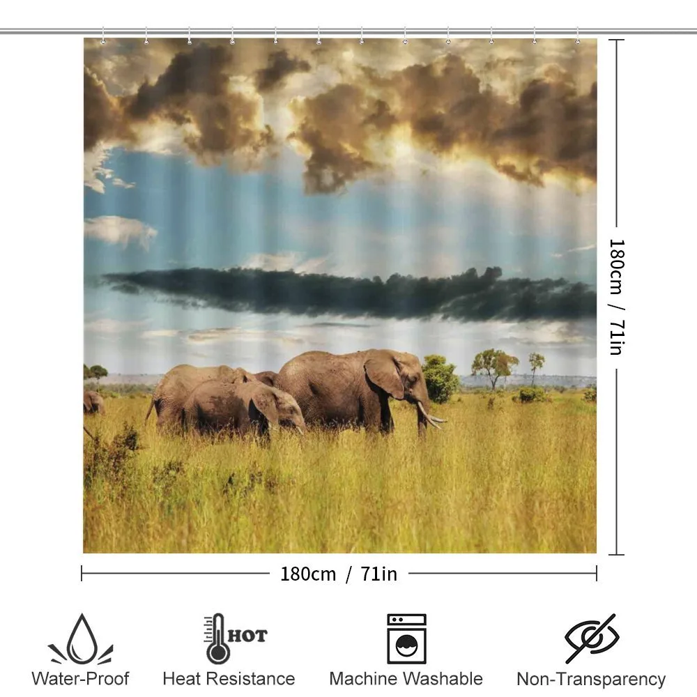 Elephant Family Photo — Detail 2