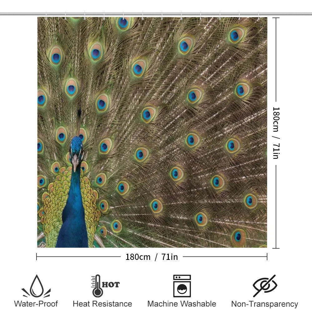 Peacock Making the Wheel — Detail 2