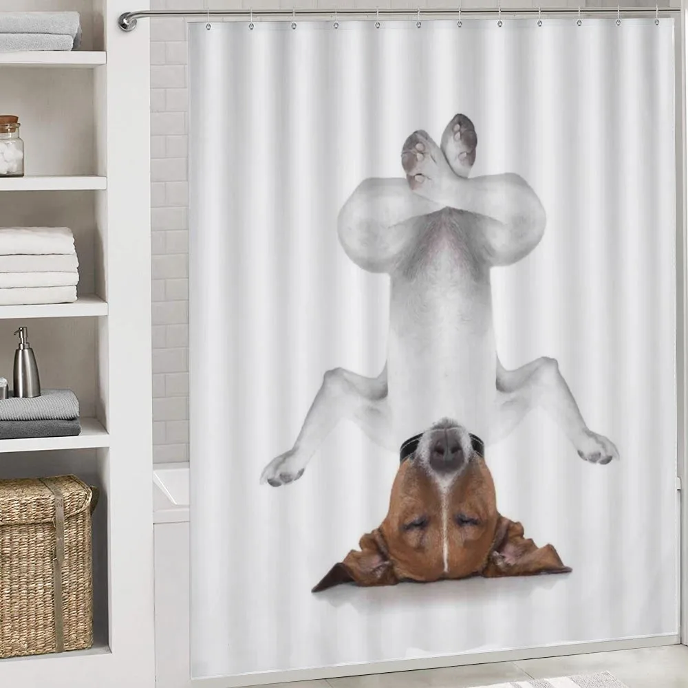 Dog Upside down Relax — Detail 4