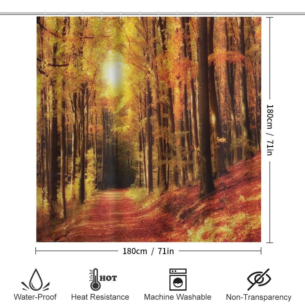 Fall Trees at Sunset Woods — Detail 2