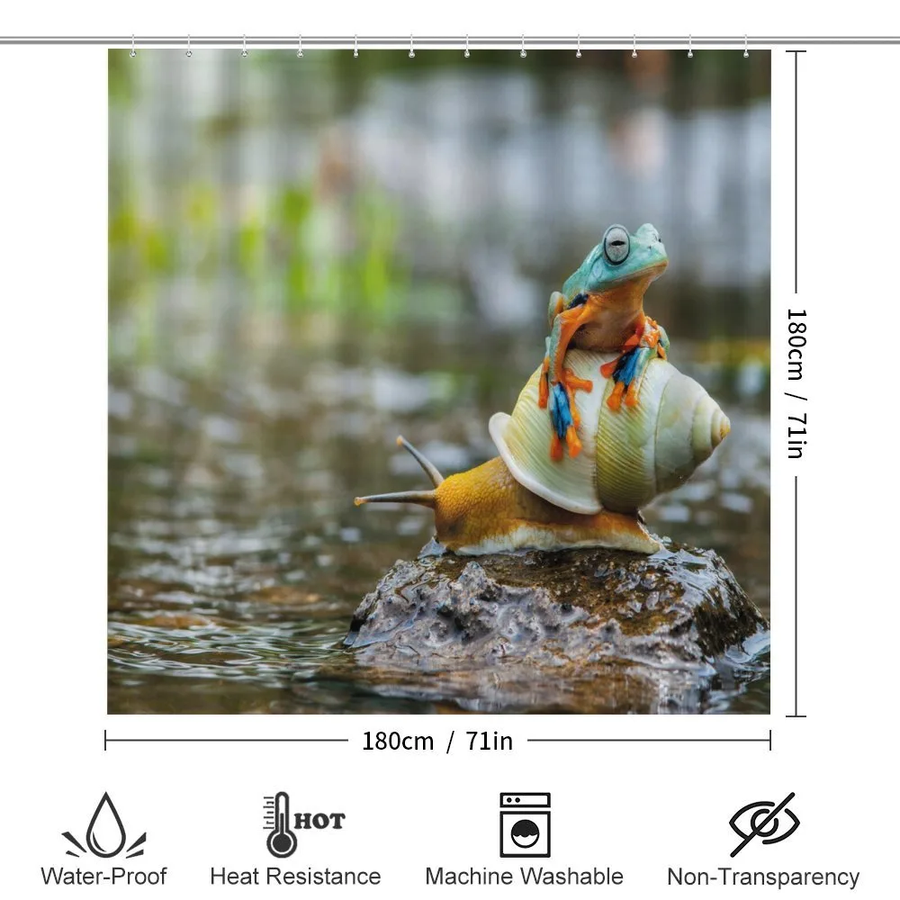 Frog Above the Snail — Detail 2