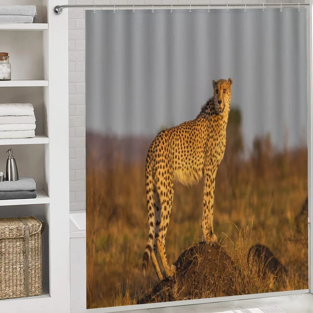 Wild Cheetah — Detail 4