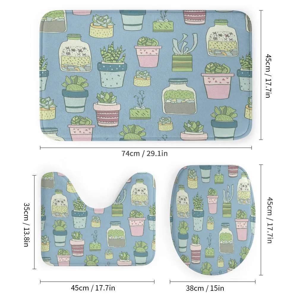 Houseplants Succulents — Detail 1