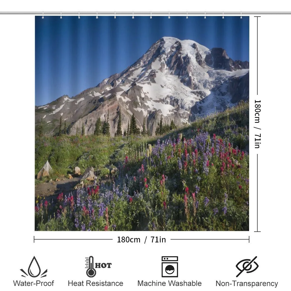 Spring Mt. Rainier Photo — Detail 2