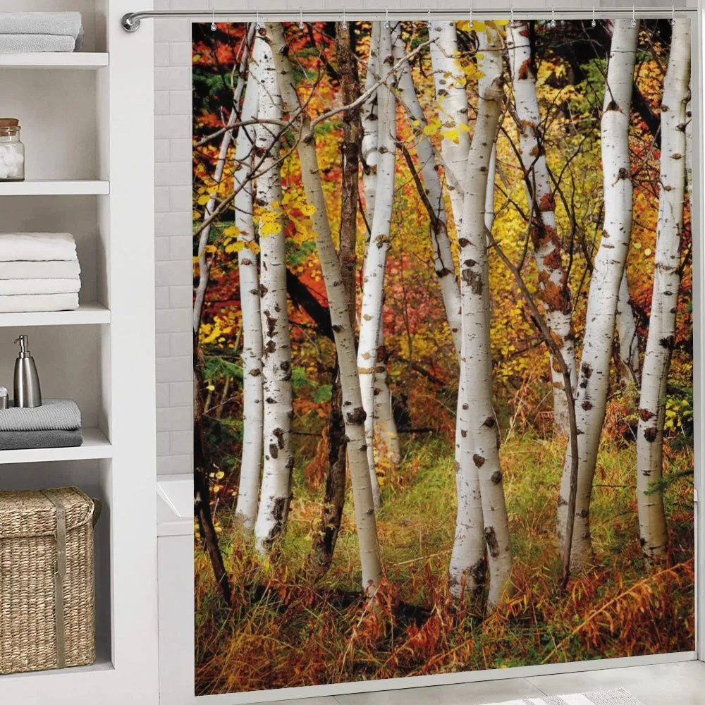 White Birch Trees Serenity — Detail 4