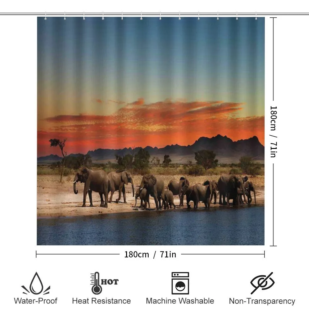 Safari Wildlife — Detail 2