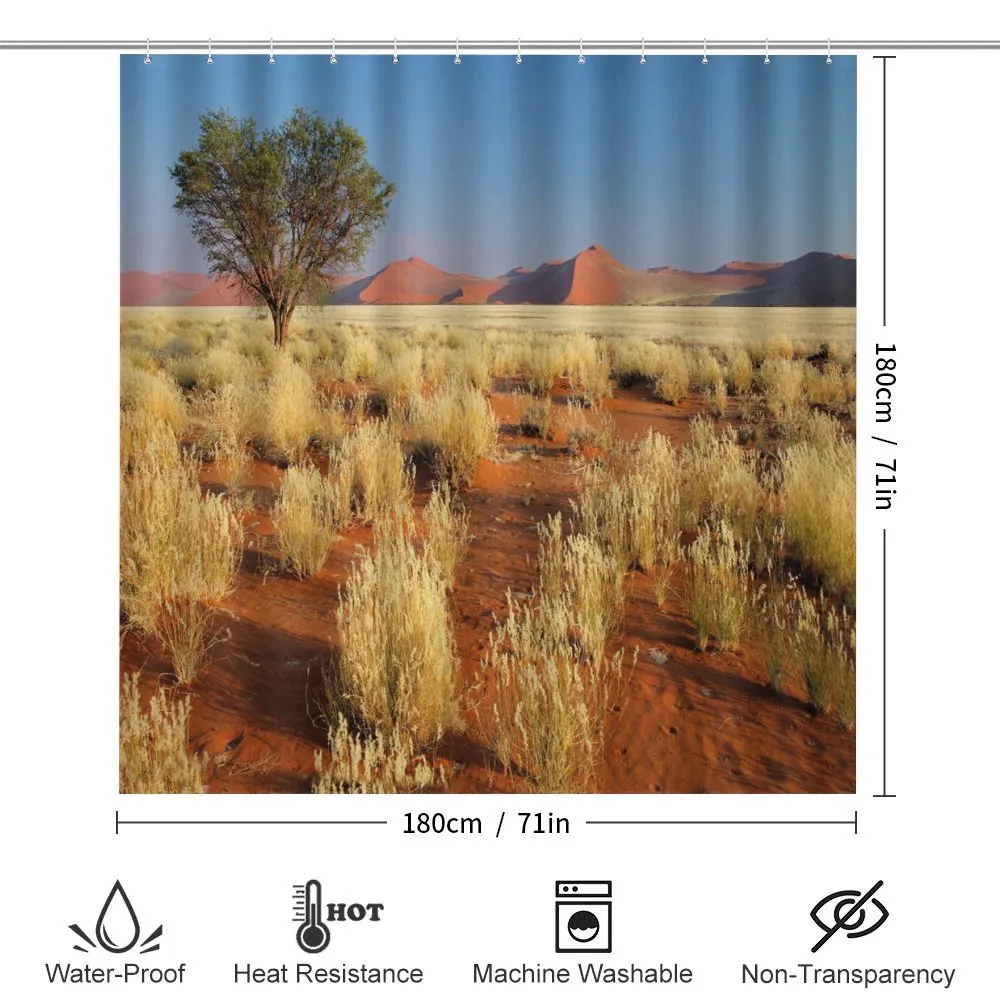 South Africa Desert — Detail 2