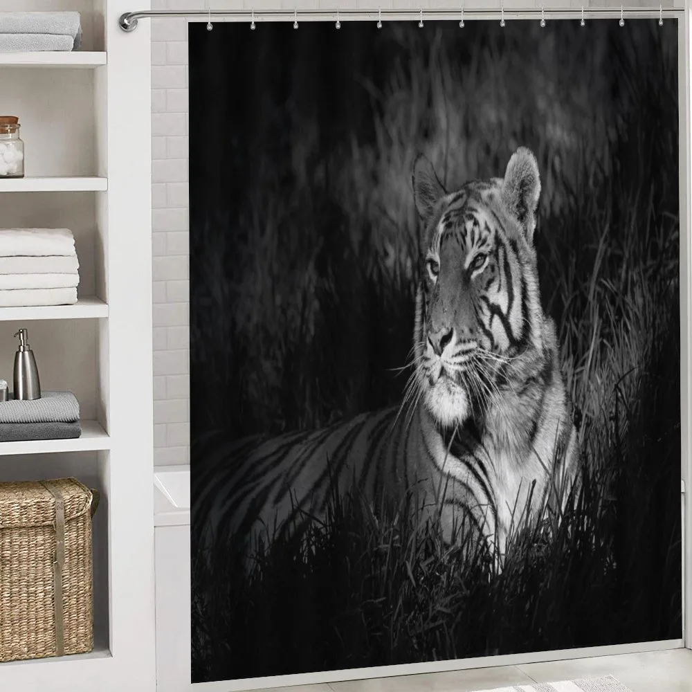 Bengal Tiger — Detail 4