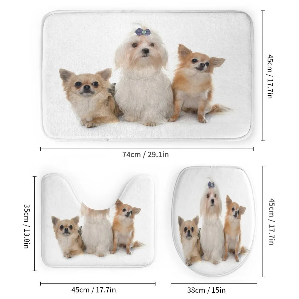 Chihuahua and Maltese Dogs — Detail 1