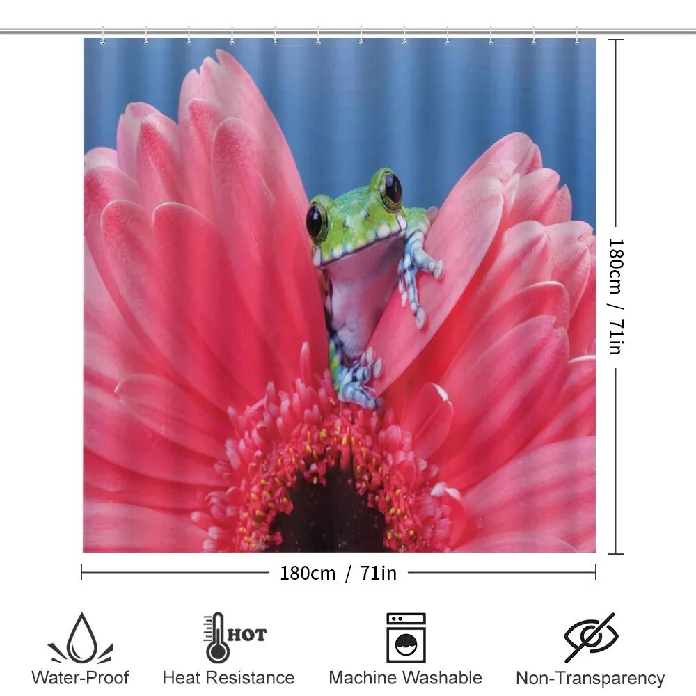 Frog on Gabera Flower — Detail 2