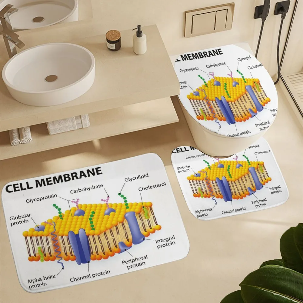 Membrane Cell Types — Detail 5