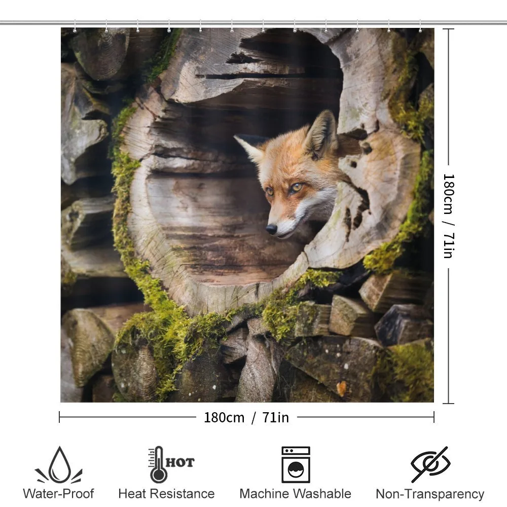 Nature Wild Fox Forest — Detail 2