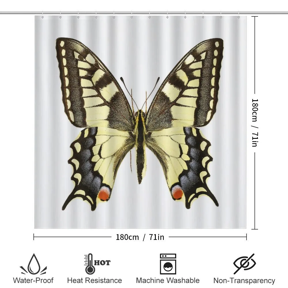 Old Papilio — Detail 2