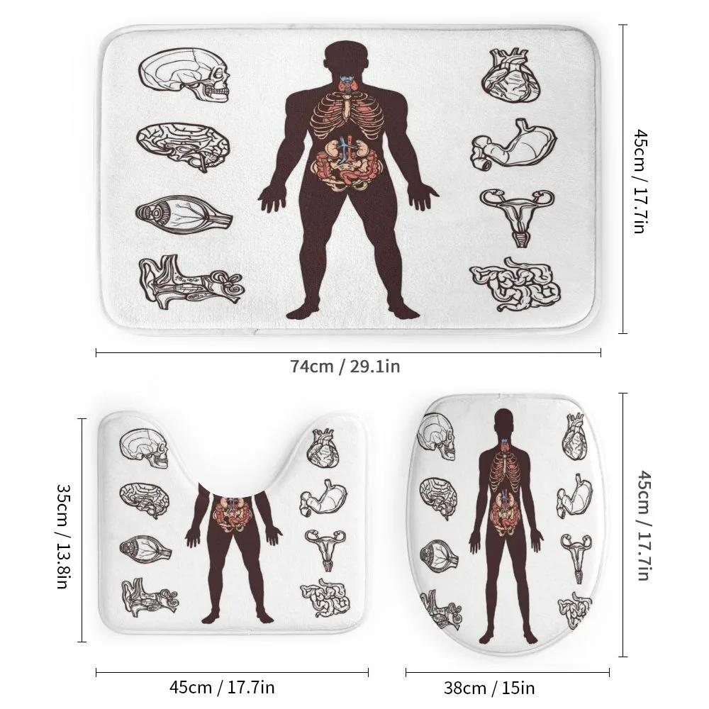 Organs Infographic Image — Detail 1