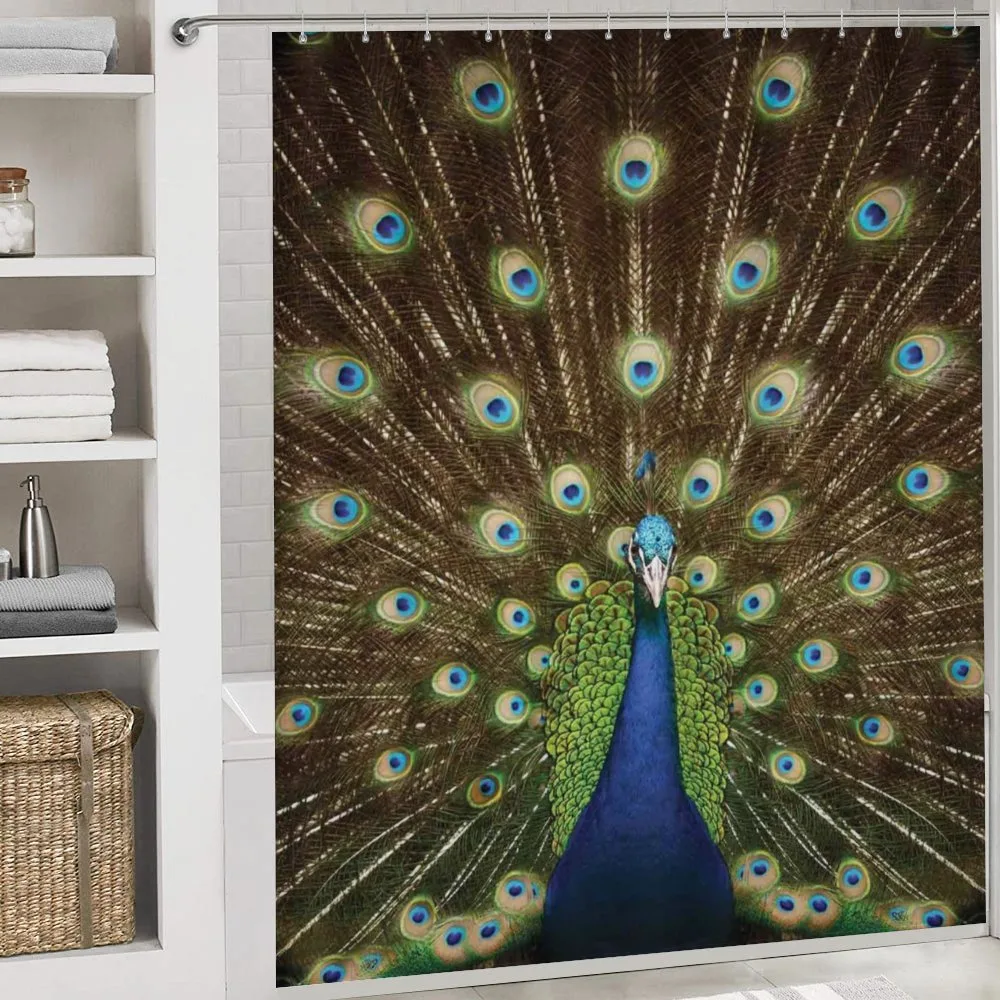 Peacock with Feathers — Detail 4