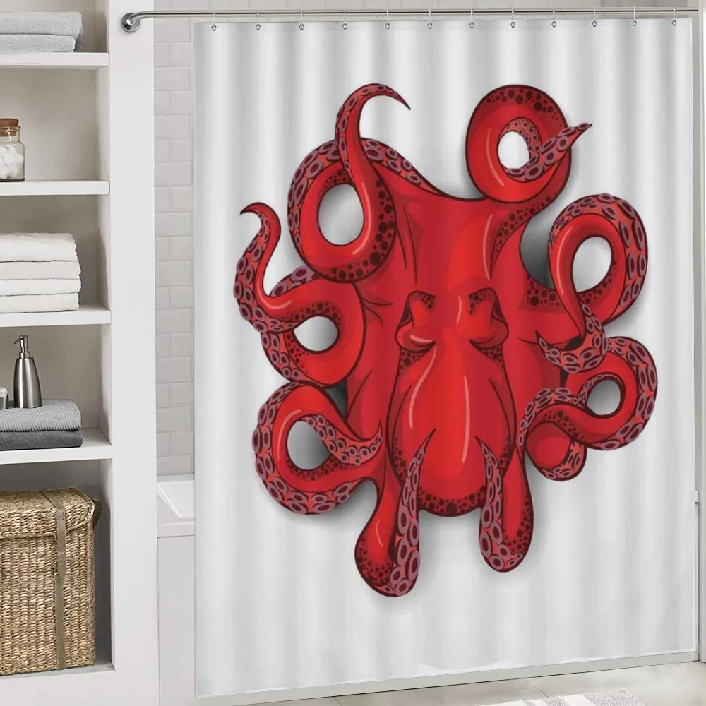 Octopus Animal Marine — Detail 4