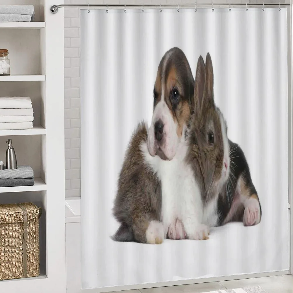 Rabbit Puppy Pet Friends — Detail 4